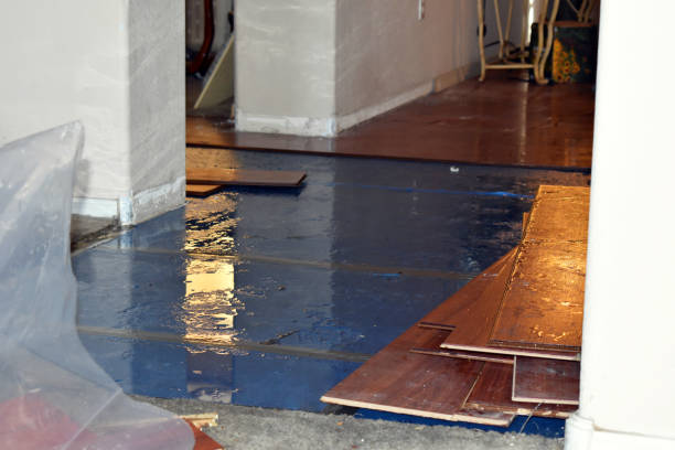 Professional Water Damage Restoration technician working in Shabbona, IL